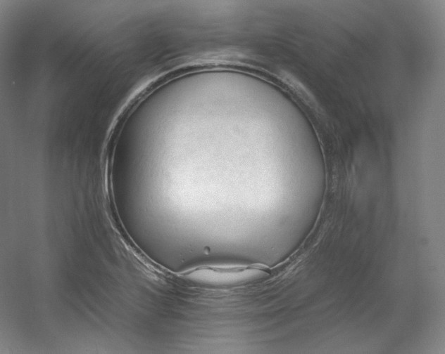 X0000053091224200507251556