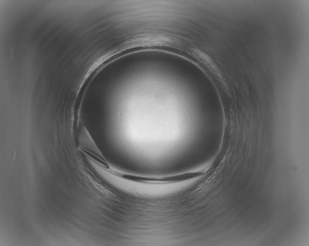 X0000053091226200507251556