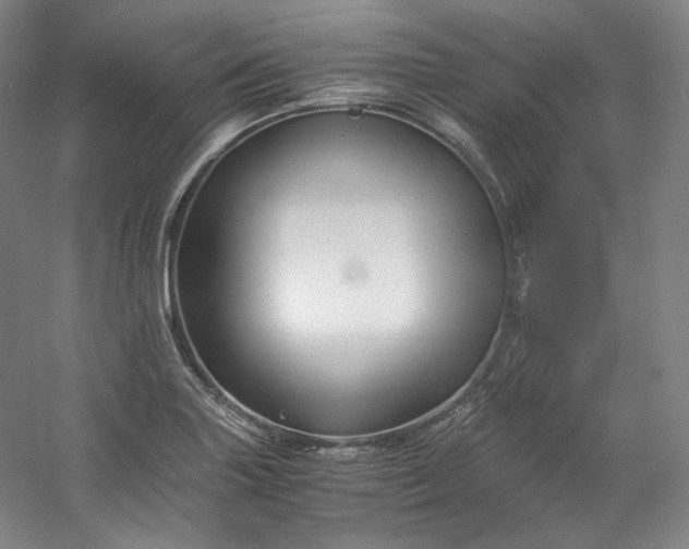 X0000053091227200507251556