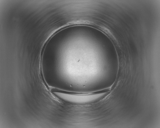 X0000053091228200507251556