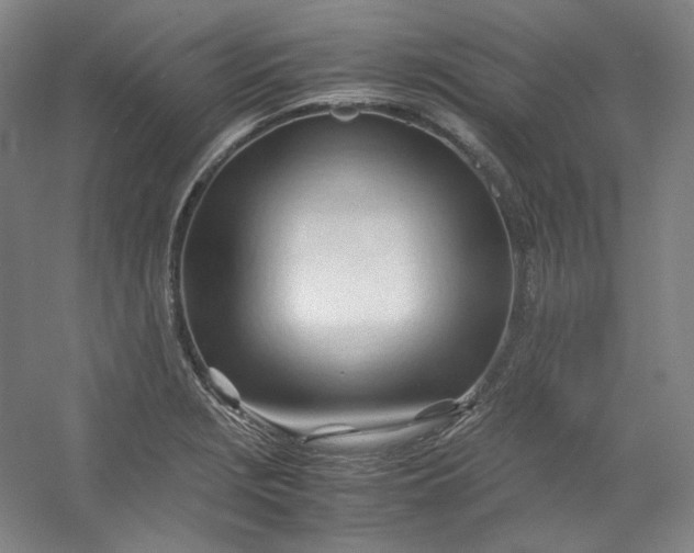 X0000053091229200507251556