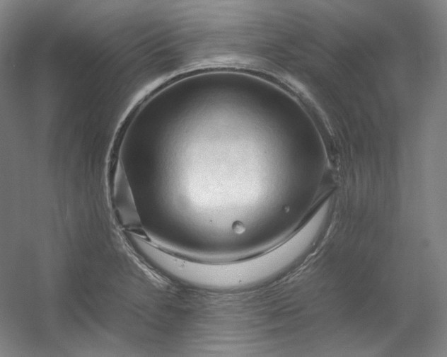 X0000053091230200507251556