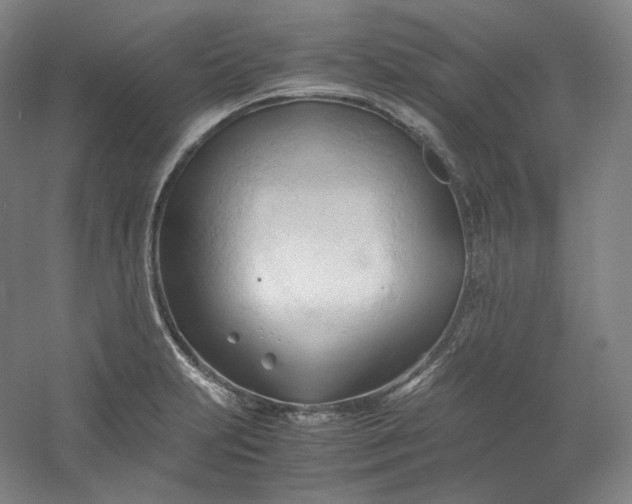 X0000053091231200507251556