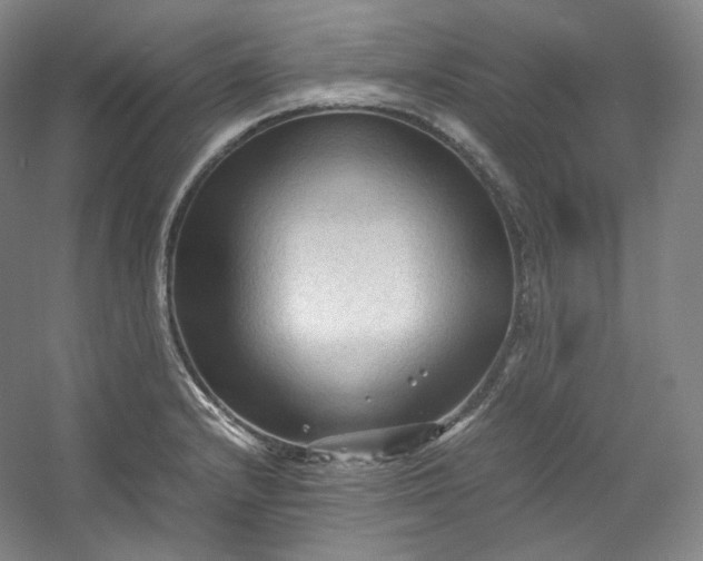 X0000053091232200507251556