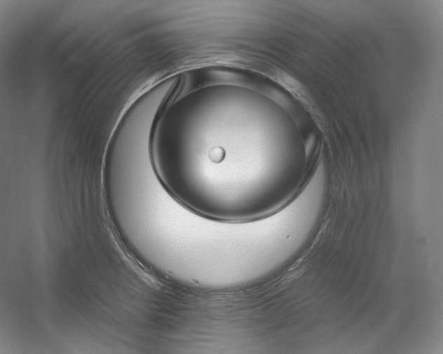 X0000053091234200507251556