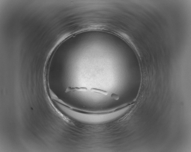 X0000053091235200507251556