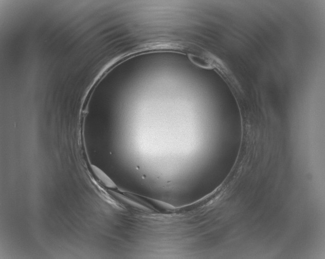 X0000053091236200507251556