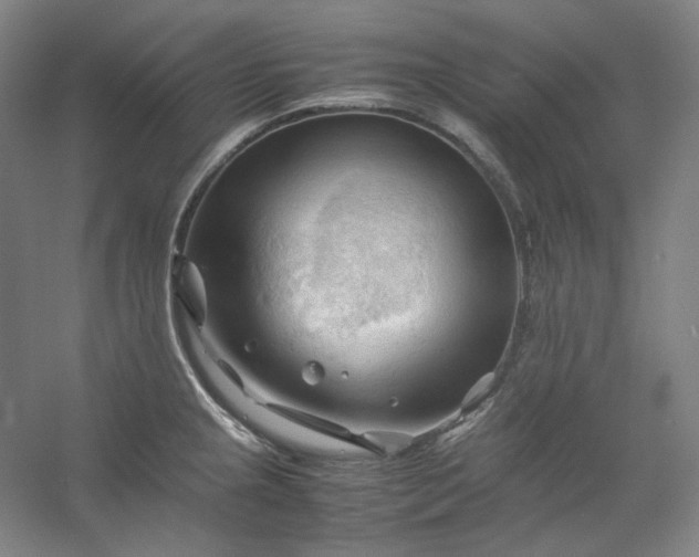 X0000053091237200507251556