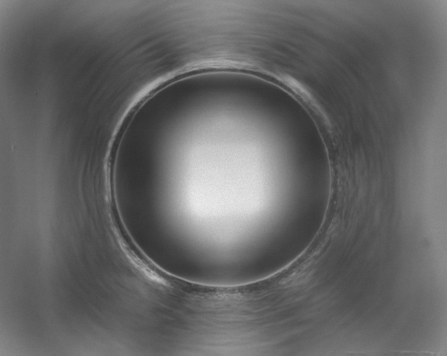 X0000053091238200507251556