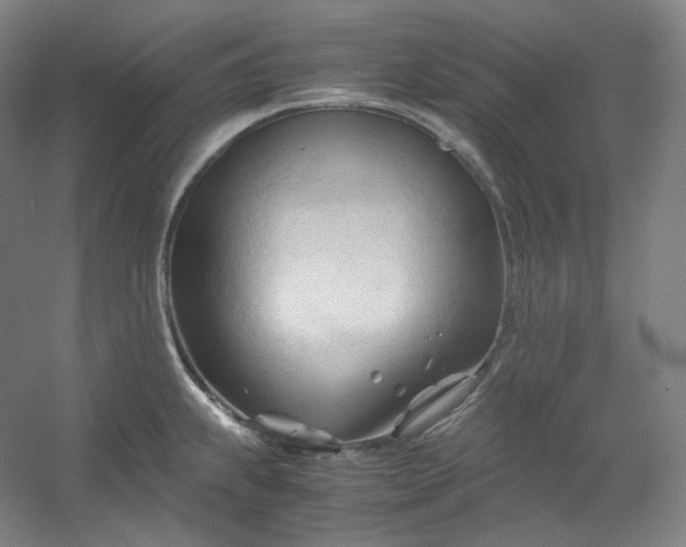 X0000053091239200507251556