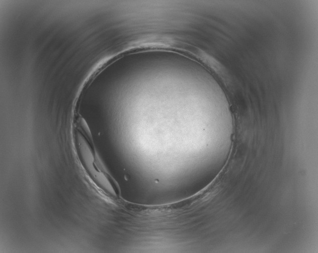 X0000053091240200507251556