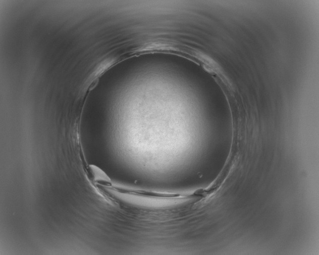 X0000053091241200507251556