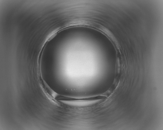 X0000053091242200507251556