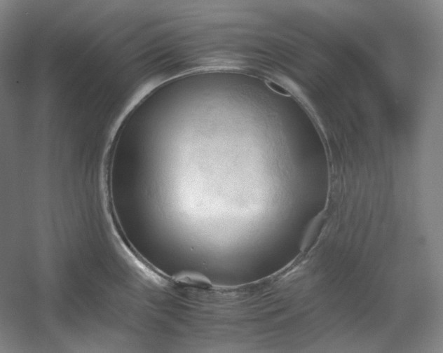 X0000053091243200507251556