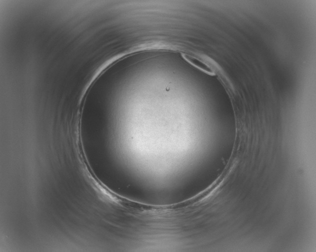 X0000053091244200507251556