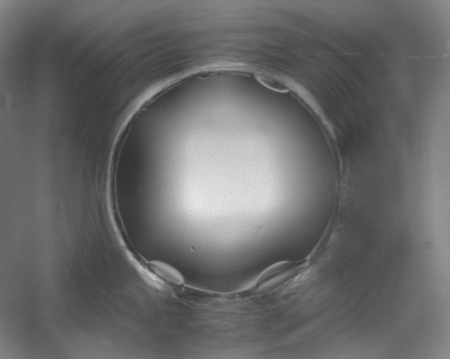 X0000053091245200507251556