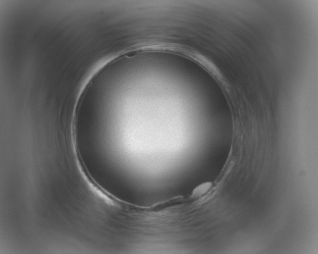 X0000053091247200507251556