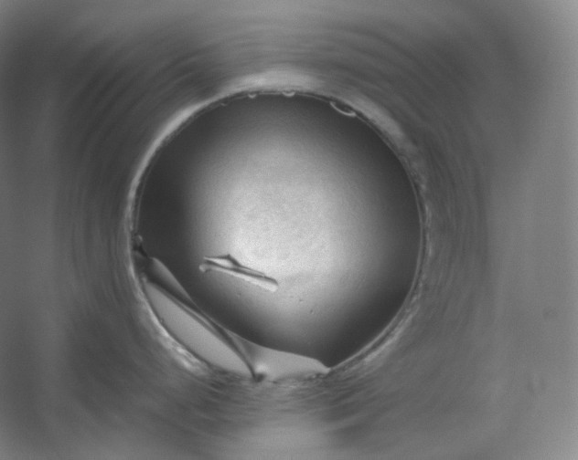 X0000053091248200507251556