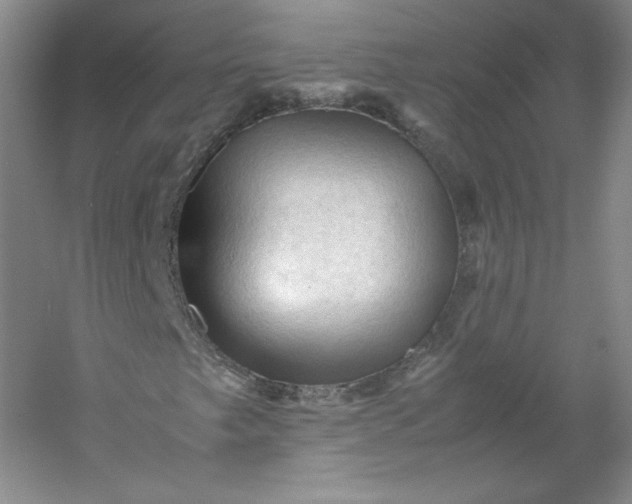 X0000053091249200507251555