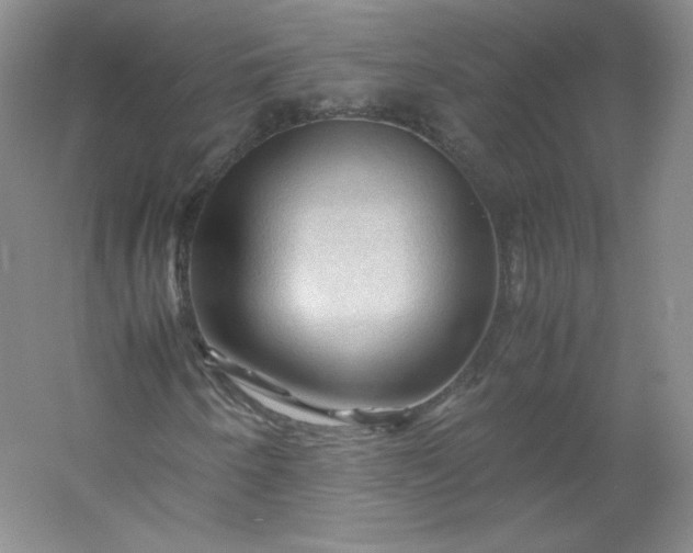 X0000053091250200507251555