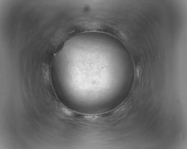 X0000053091251200507251555