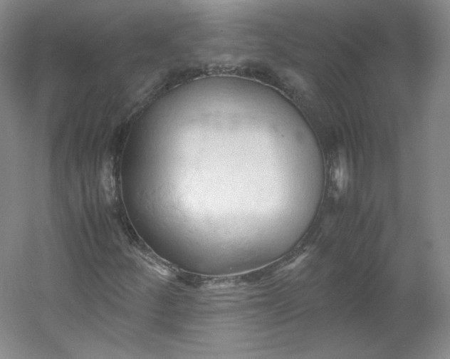 X0000053091252200507251555