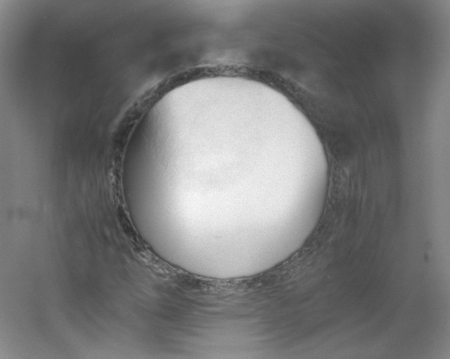 X0000053091254200507251555