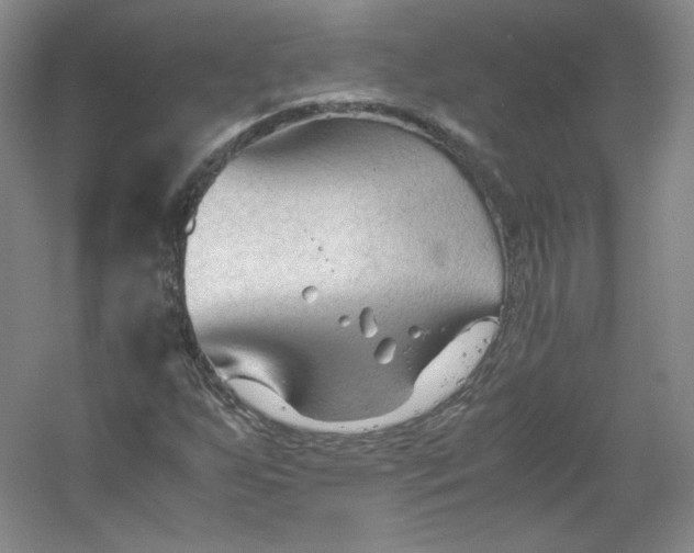 X0000053091255200507251555