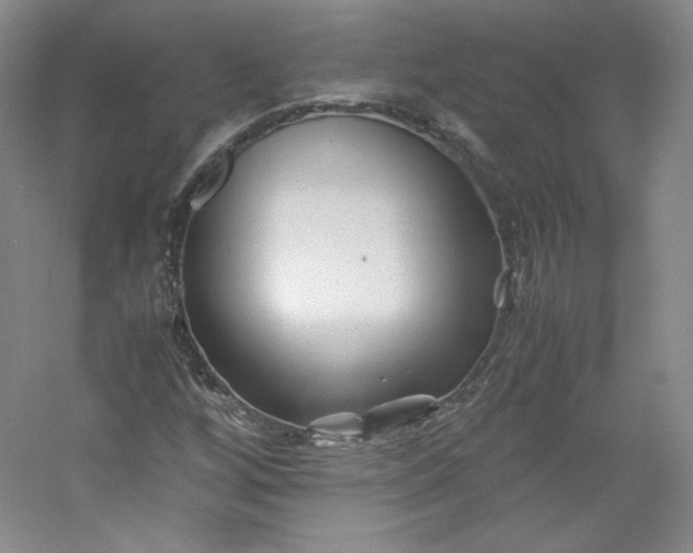 X0000053091256200507251555