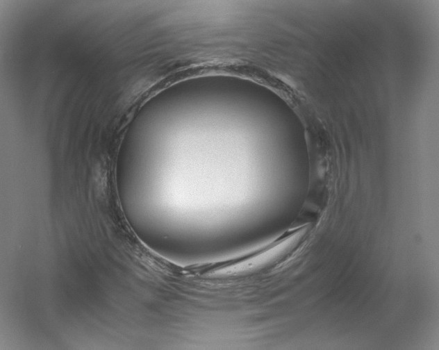 X0000053091257200507251555