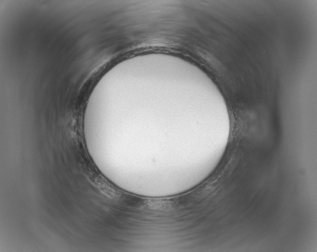 X0000053091258200507251555