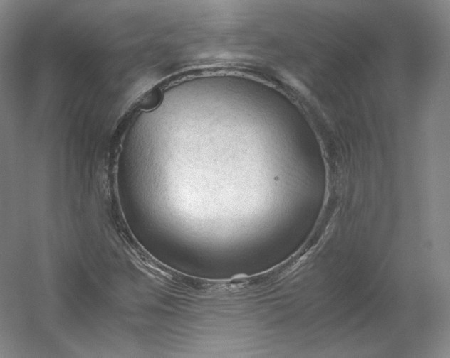 X0000053091259200507251555