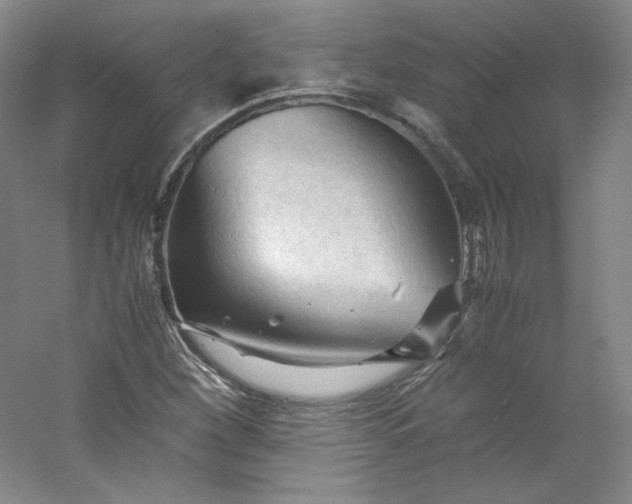 X0000053091260200507251555