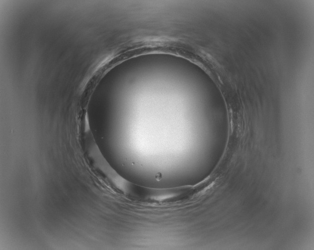 X0000053091261200507251555