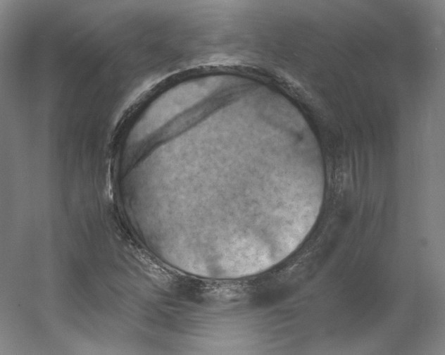 X0000053091262200507251555