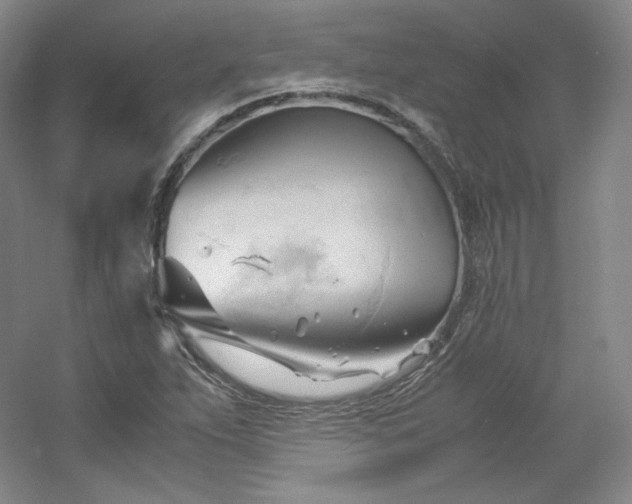 X0000053091263200507251555