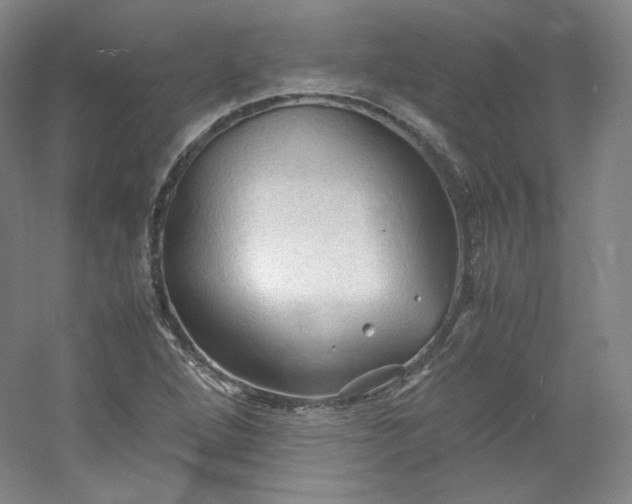 X0000053091264200507251555