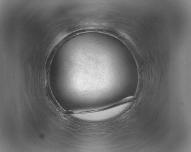 X0000053091267200507251555