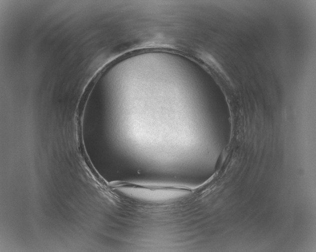 X0000053091268200507251555