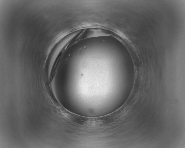 X0000053091269200507251555