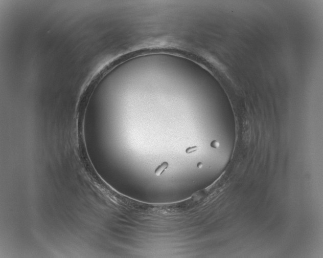 X0000053091270200507251555