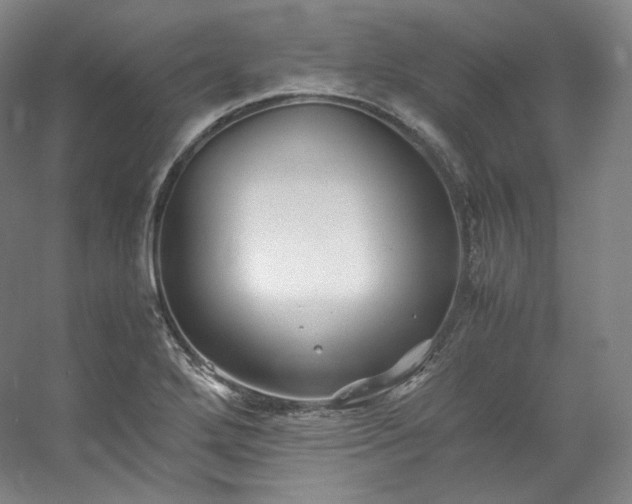 X0000053091272200507251555