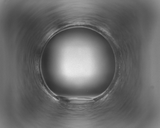 X0000053091273200507251555