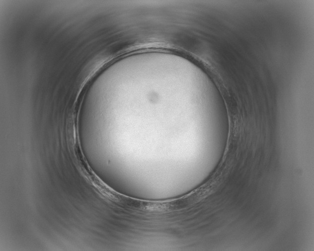 X0000053091274200507251555