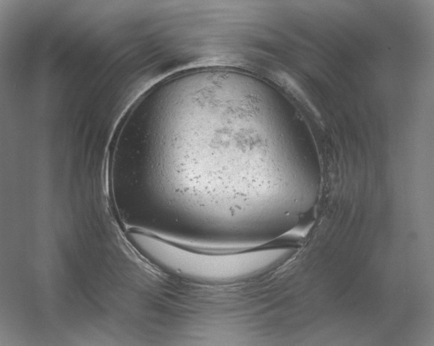 X0000053091276200507251555