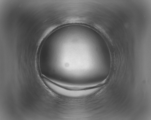 X0000053091277200507251555