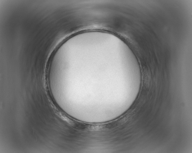 X0000053091278200507251555