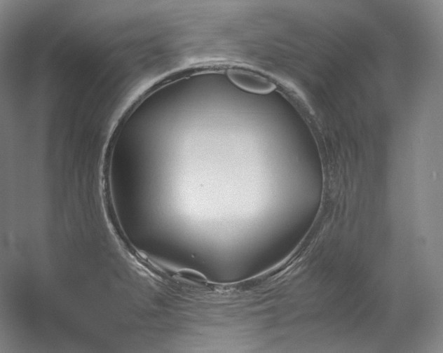 X0000053091279200507251555