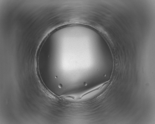 X0000053091280200507251555