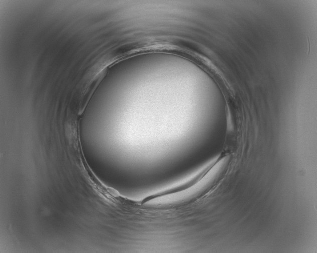 X0000053091281200507251555